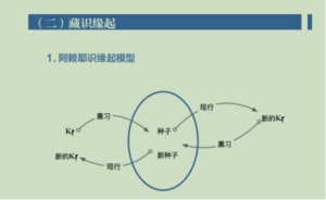 8群藏识缘起20210415.png