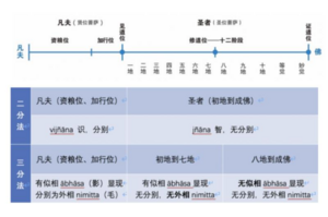 8群五位三分法20210530.png
