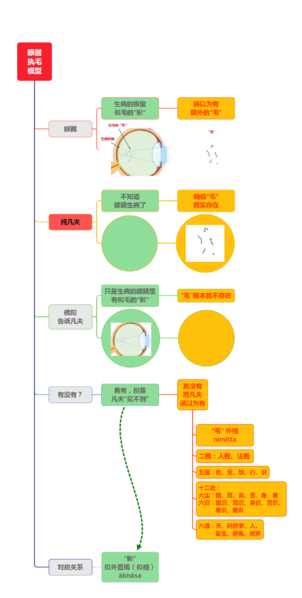 文件:眼醫执毛模型图文简化版8群20210227.png